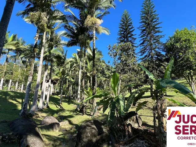 Imagem 6: Sítio Alto Paddrão a Venda em Limeira Alta Brusque