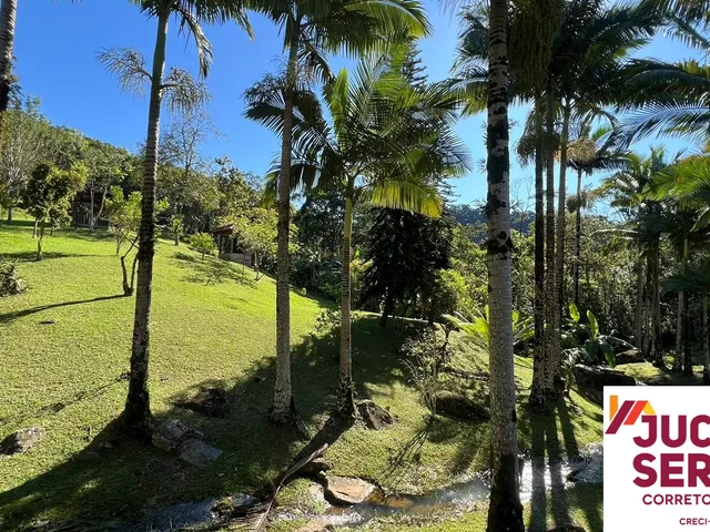 Imagem 7: Sítio Alto Paddrão a Venda em Limeira Alta Brusque
