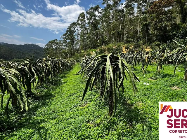 Imagem: Terreno Rural a Venda em Tijucas com Água