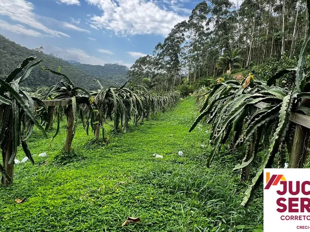 Imagem 9: Terreno Rural a Venda em Tijucas com Água