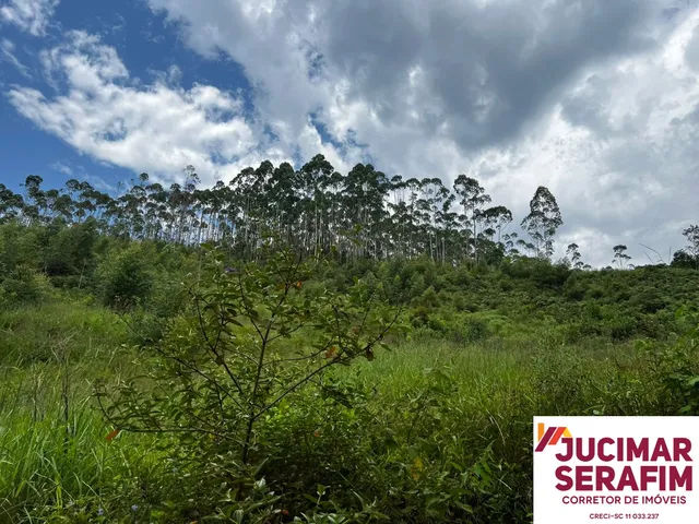 Imagem 3: Terreno Rural a Venda em Tijucas com Água