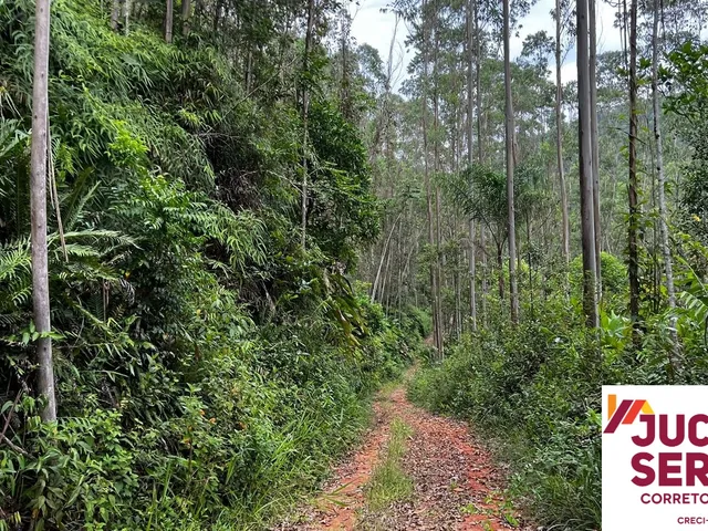 Imagem 2: Terreno Rural a Venda em Tijucas com Água