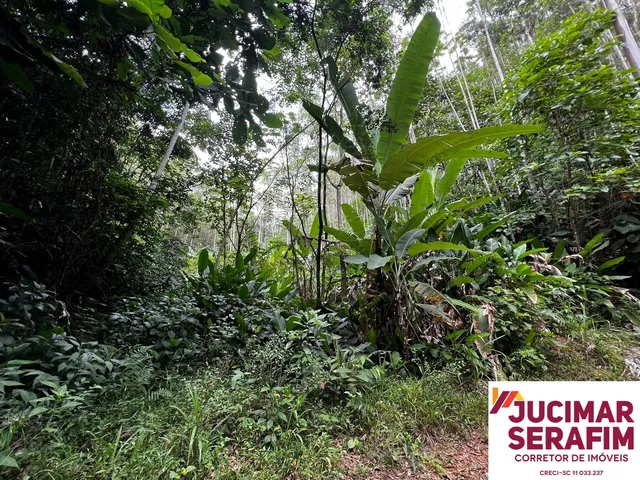 Imagem 4: Terreno Rural a Venda em Tijucas com Água