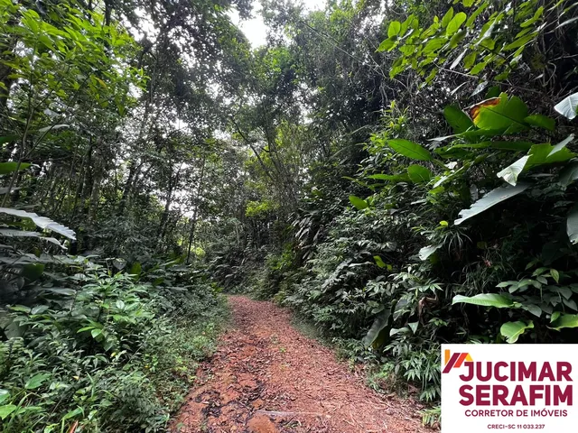 Imagem 10: Terreno Rural a Venda em Tijucas com Água