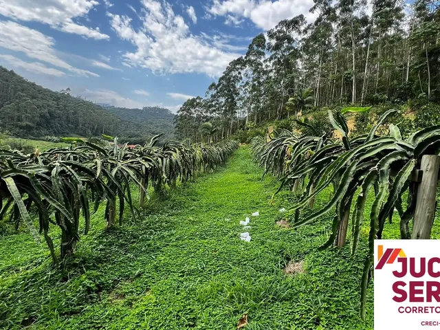 Imagem 6: Terreno Rural a Venda em Tijucas com Água