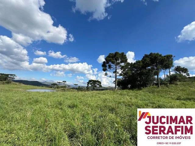 Imagem 13: Fazenda a Venda em São Joaquim, Próximo a Vinícola Pericó