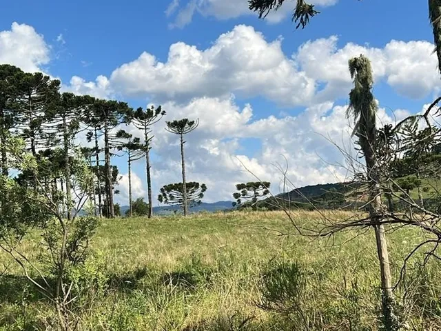 Imagem 4: Fazenda a Venda em São Joaquim, Próximo a Vinícola Pericó