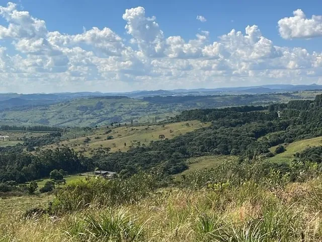Imagem 12: Fazenda a Venda em São Joaquim, Próximo a Vinícola Pericó