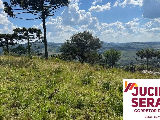 Imagem 2: Fazenda a Venda em São Joaquim, Próximo a Vinícola Pericó