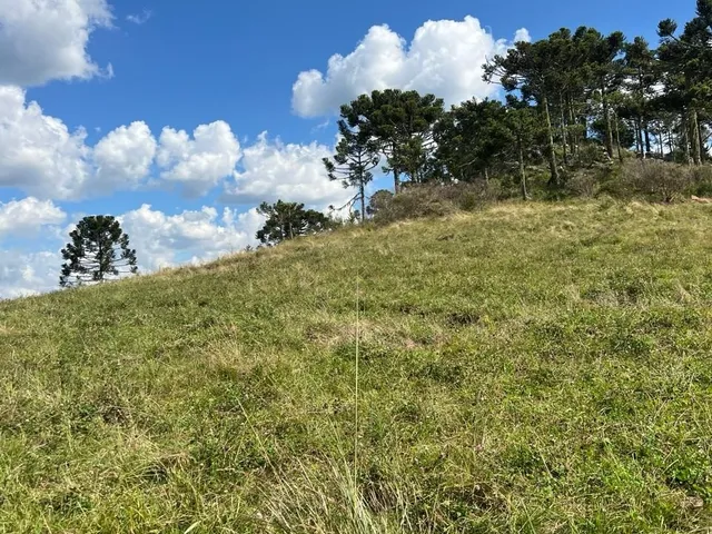 Imagem 5: Fazenda a Venda em São Joaquim, Próximo a Vinícola Pericó