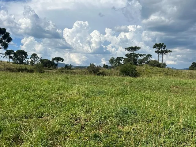 Imagem 14: Fazenda a Venda em São Joaquim, Próximo a Vinícola Pericó