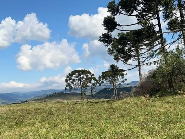 Imagem 15: Fazenda a Venda em São Joaquim, Próximo a Vinícola Pericó