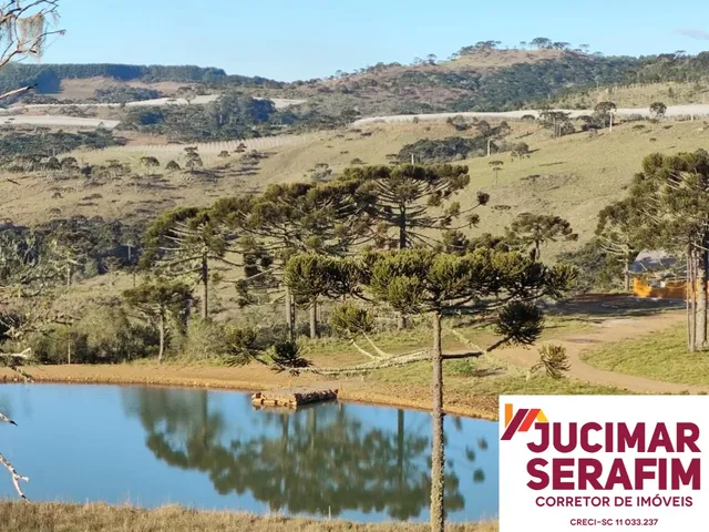 Imagem 3: Fazenda a Venda com Potencial para Vinícola em São Joaquim, Próximo a Vinícola Pericó