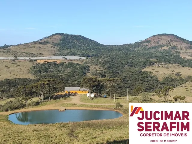 Imagem 2: Fazenda a Venda com Potencial para Vinícola em São Joaquim, Próximo a Vinícola Pericó