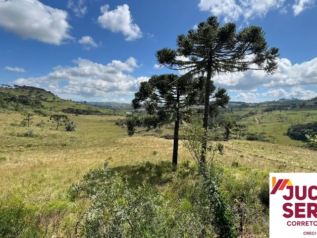 Imagem 7: Fazenda a Venda com Potencial para Vinícola em São Joaquim, Próximo a Vinícola Pericó