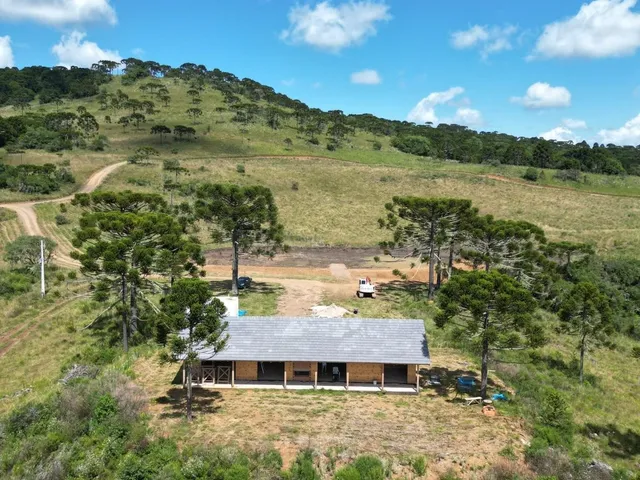 Imagem 9: Fazenda a Venda com Potencial para Vinícola em São Joaquim, Próximo a Vinícola Pericó