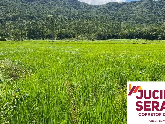 Imagem: Terreno Rural a Venda em Tijucas com Pastagem