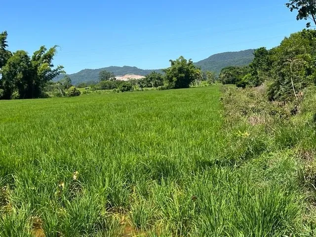 Imagem 10: Terreno Rural a Venda em Tijucas com Pastagem