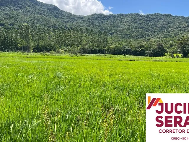 Imagem 14: Terreno Rural a Venda em Tijucas com Pastagem