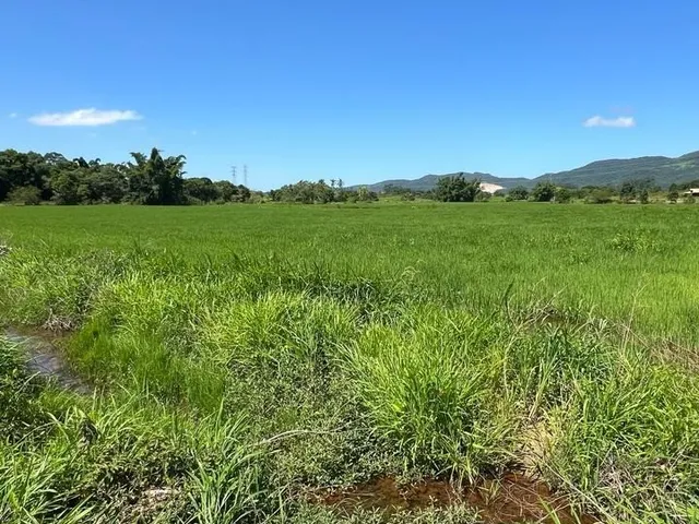 Imagem 11: Terreno Rural a Venda em Tijucas com Pastagem