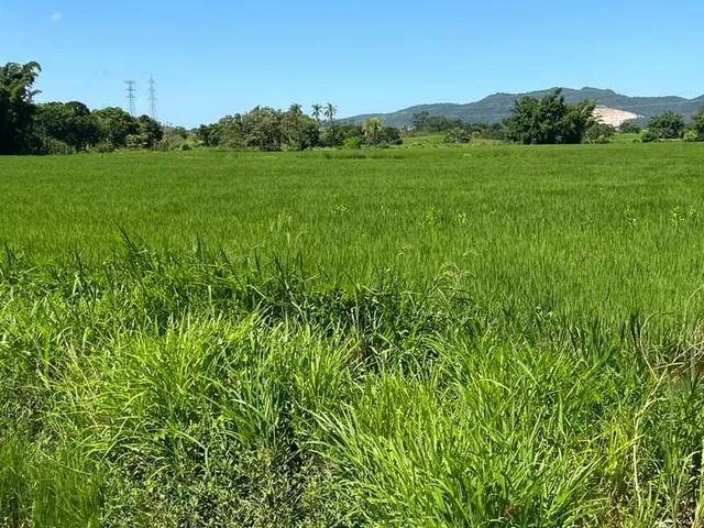 Imagem 9: Terreno Rural a Venda em Tijucas com Pastagem