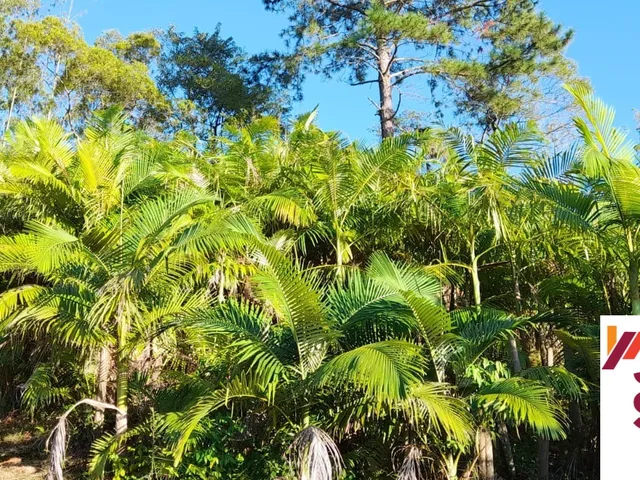 Imagem 16: Terreno a Venda em Tijucas com Pastagem e com Excelente Estrutura