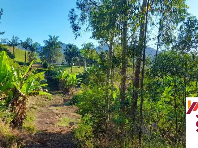 Imagem 8: Terreno a Venda em Tijucas com Pastagem e com Excelente Estrutura