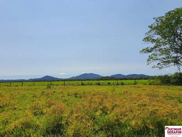 Imagem: Grande Fazenda de Gado a Venda na Região