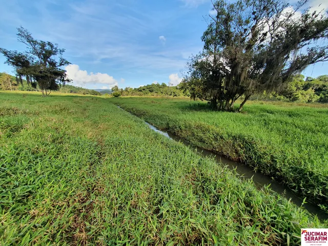 Imagem 12: Fazenda com Pastagem a Venda em Luiz Alves Próximo a Balneário Camboriú