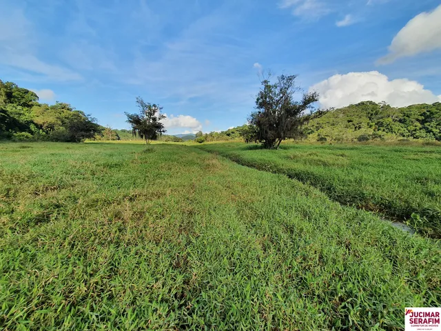 Imagem: Fazenda com Pastagem a Venda em Luiz Alves