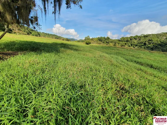 Imagem 4: Fazenda com Pastagem a Venda em Luiz Alves Próximo a Balneário Camboriú