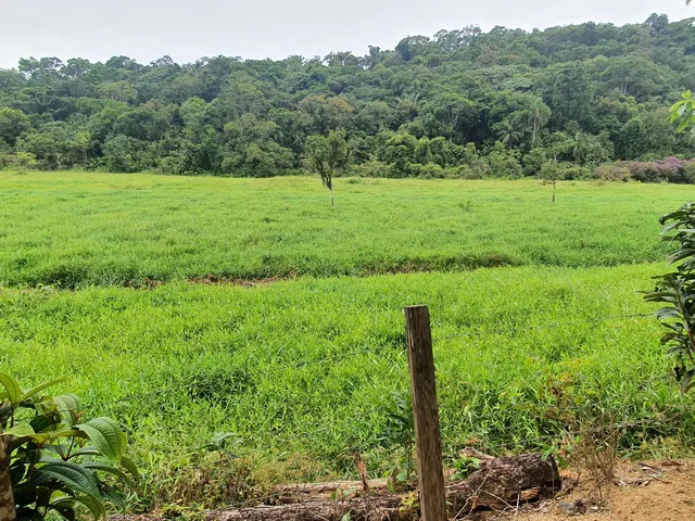 Imagem 3: Fazenda com Pastagem a Venda em Luiz Alves Próximo a Balneário Camboriú