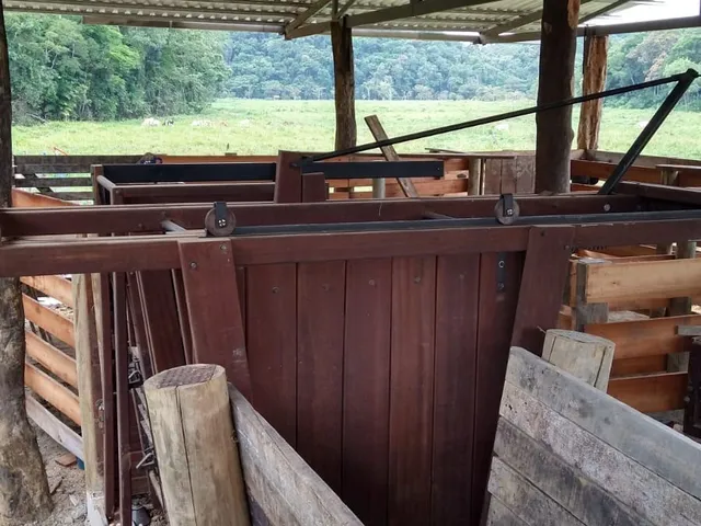 Imagem 11: Fazenda com Pastagem a Venda em Luiz Alves Próximo a Balneário Camboriú
