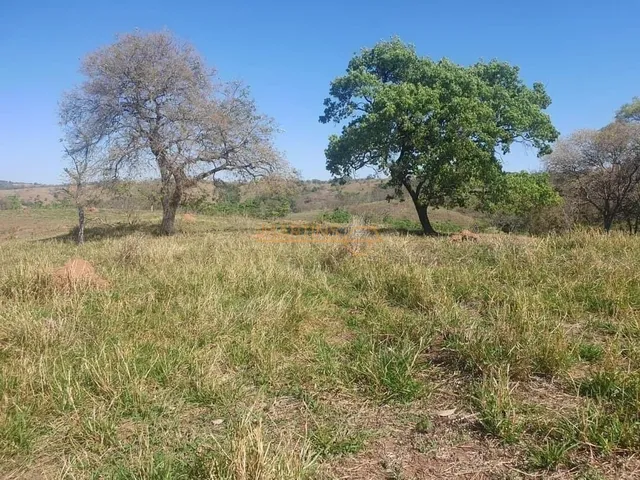 Imagem: Sítio à venda no bairro Zona Rural - Araguari/MG