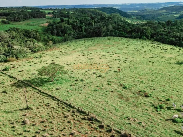 Imagem 5: Área Rural á Venda