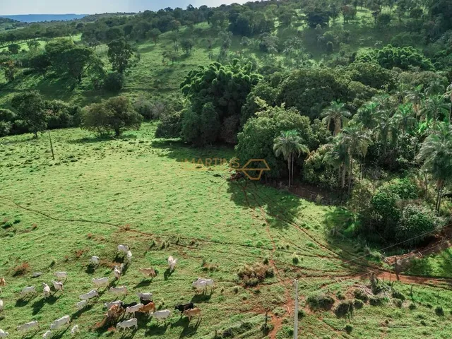 Imagem 16: Área Rural á Venda