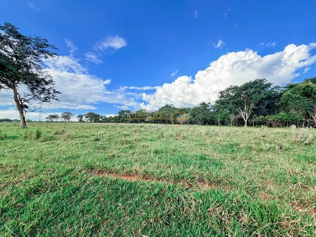 Imagem 7: Área Rural á Venda