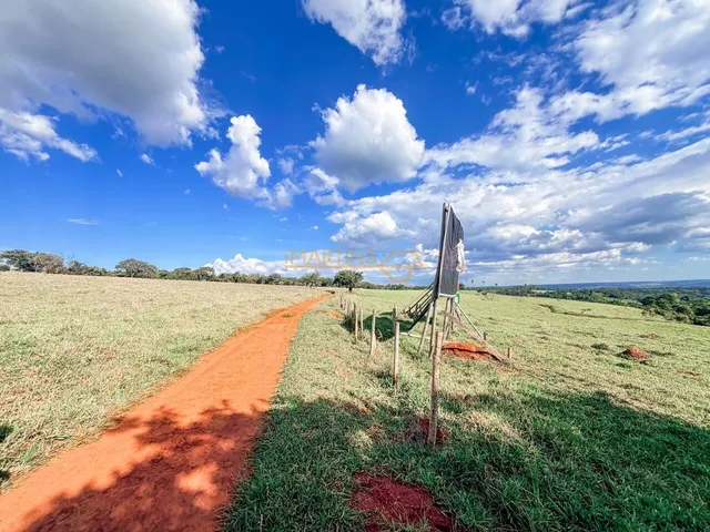 Imagem 14: Área Rural á Venda