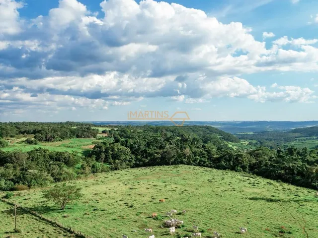 Imagem 4: Área Rural á Venda