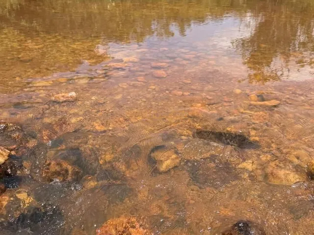 Imagem 2: Fazenda Chapadão das aguãs a Venda