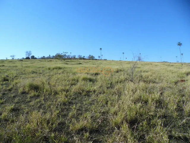 Imagem 1: ÁREA Araguari Terreno / lote com venda por R$700.000