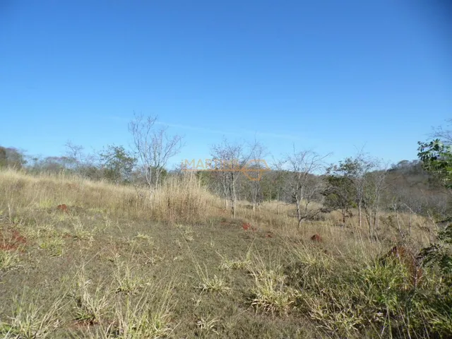 Imagem 3: ÁREA Araguari Terreno / lote com venda por R$700.000