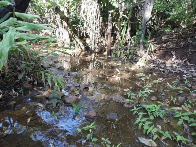 Imagem 4: ÁREA Araguari Terreno / lote com venda por R$700.000