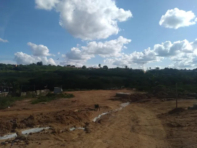 Imagem: Terreno para venda no Jardim Europa