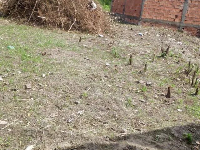 Imagem 2: Terreno para venda no bairro Tomba em Feira de Santana
