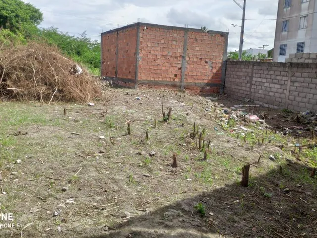 Imagem 11: Terreno para venda no bairro Tomba em Feira de Santana
