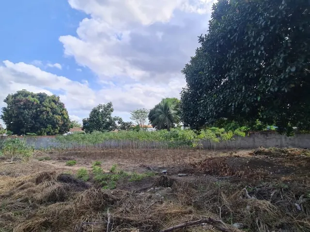 Imagem 5: Terreno para locação na Avenida Artemia Pires