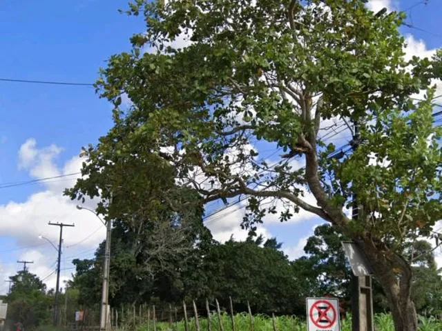 Imagem 2: Terreno com 15.246m² pra venda na Av Artemia Pires, Feira de Santana