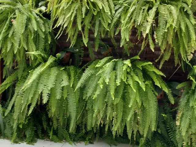 Imagem 2: Casa à venda em condomínio de alto padrão no bairro SIM