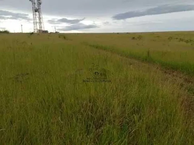 Imagem: Chácara de Alto Padrão com 8.192M² e